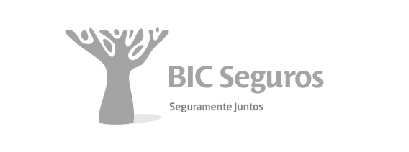 bic seguros